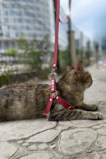 Gizli Arzu Deri Kedi Harness , Kedi Gezdirme Gizli Arzu Tasması - NPC005