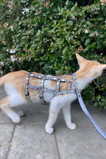 Renkli Reflektör Gizli Arzu Karanlıkta Parlayan Şık Kedi Harness, Kedi Yürüme Gizli Arzu Tasması, Kedi Güvenlik Gizli Arzu Tasması - NPC011